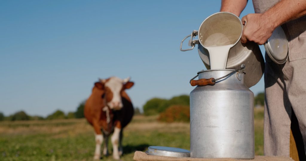 Caldo climatico e malattie in allevamento: alimentazione e idratazione come possono aiutare gli animali delle campagne?